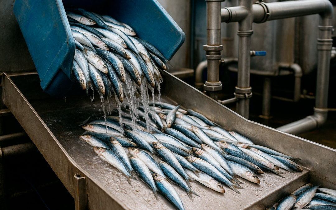 Prepárate para la campaña de la sardina