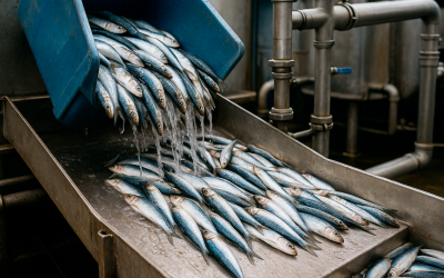 Prepárate para la campaña de la sardina